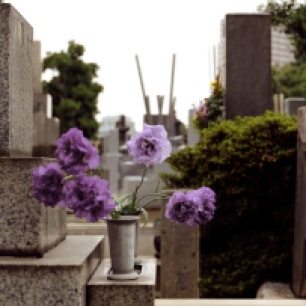 “You might have seen on the news…a certain someone was laid to rest yesterday in Yanaka Cemetery.”